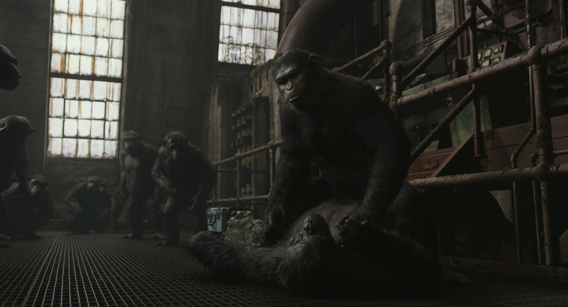 DawnofthePlanetoftheApes