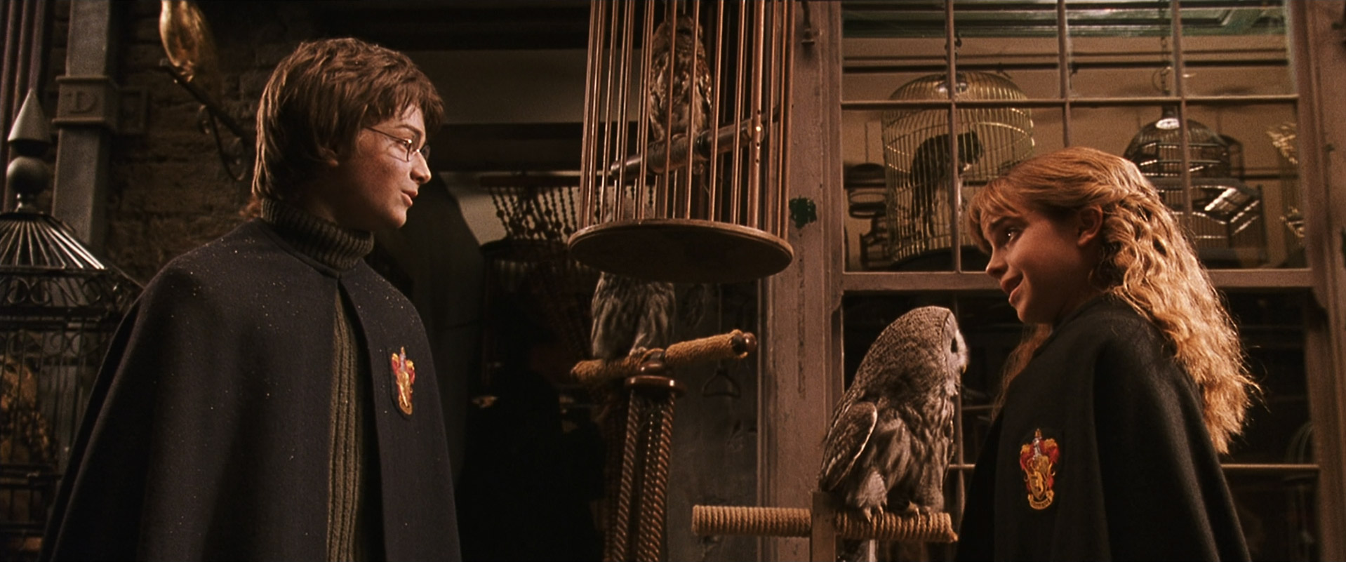 HarryPotterandtheChamberofSecrets